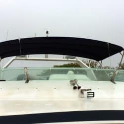 Trader Tarquin 635 Flybridge Bimini_1